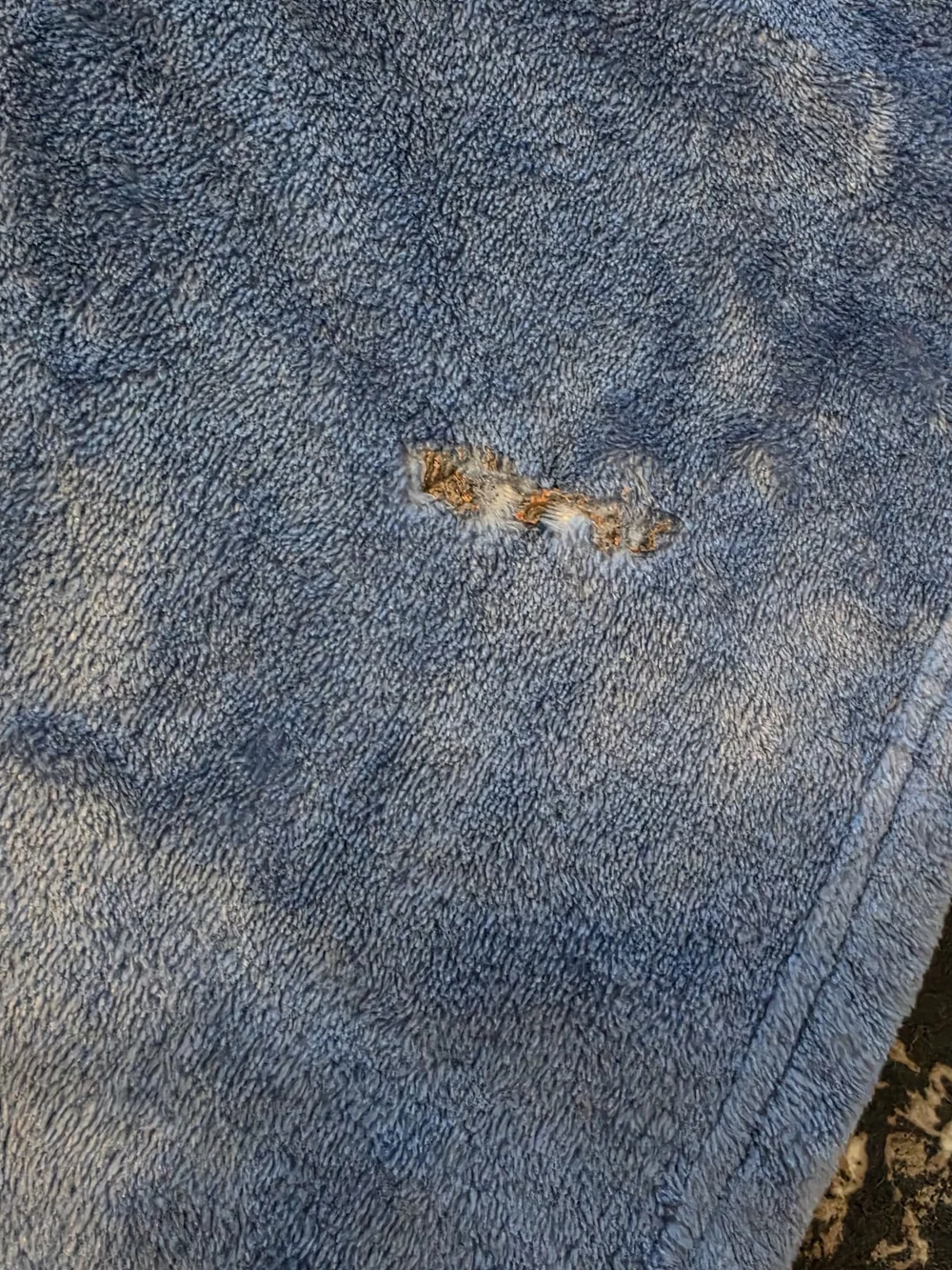 Buc-ee's Blue Tropical Plush Throw